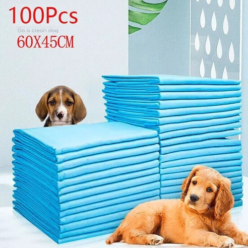 100 tappetini treno