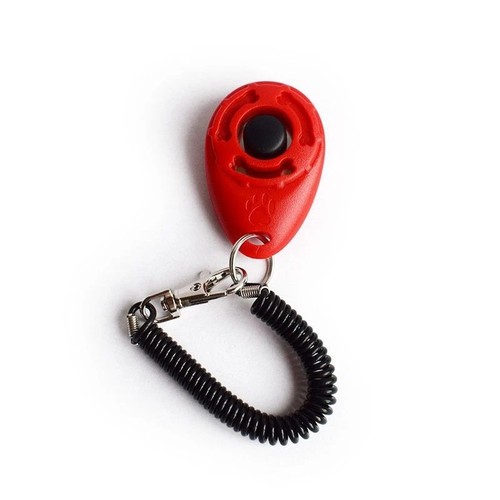 Clicker addestramento cani con