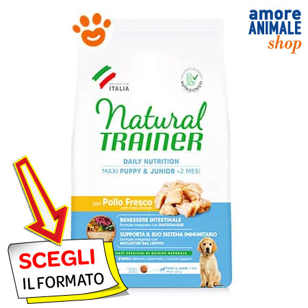 Natural trainer dog puppy - dog,