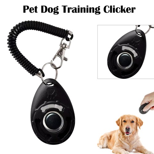 Clicker addestramento cani - , e