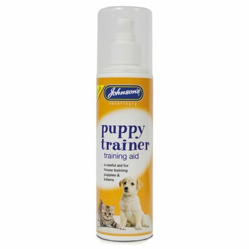 Johnson puppy kitten - puppy, &