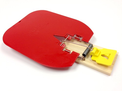 Confezione snappy trainer - confezione, 3