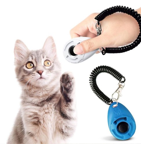 Clicker addestramento cani con - cani,