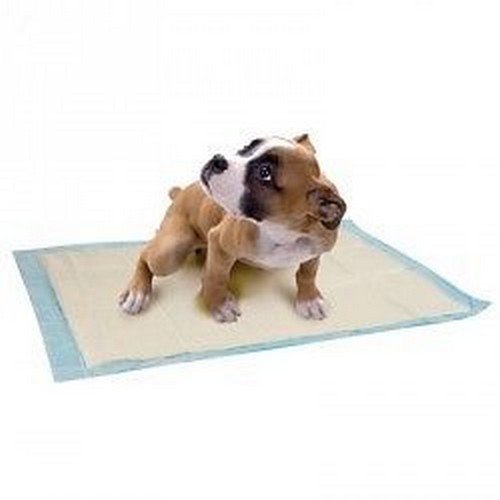 Puppy trainer vassoio - puppy, s